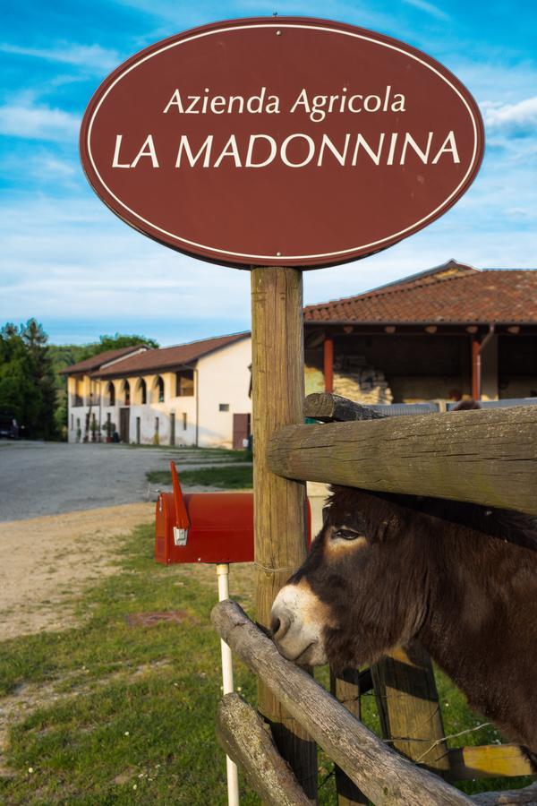 La Madonnina Agriturismo Dore Alba  Zewnętrze zdjęcie